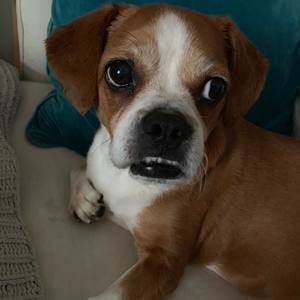 Meet your Posher, Kiki